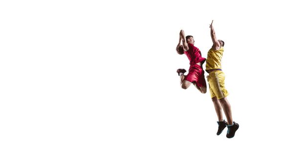 Basketball players on a white background - Photo, Image
