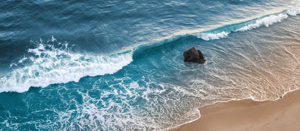 Surf de gaviota - Foto, imagen