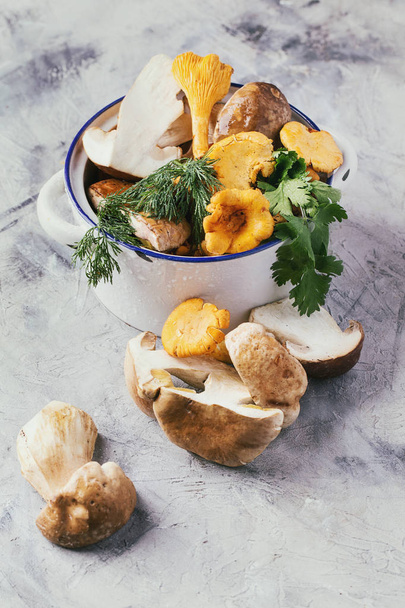 Chanterelle and porcini mushrooms - Photo, image