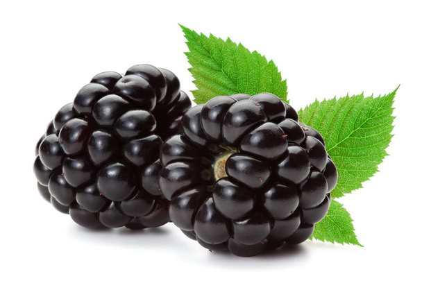 Blackberries isolated on the white background. - Zdjęcie, obraz