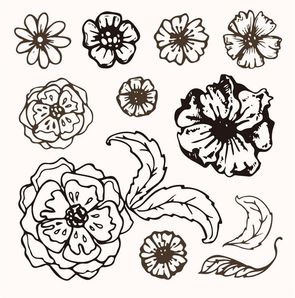 Blütenset: sehr detaillierte handgezeichnete Blüten und Blätter. Vektorillustration - Vektor, Bild