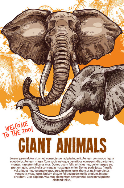 Ζώα της Αφρικής οι ελέφαντες ζωολογικό κήπο διάνυσμα αφίσα - Διάνυσμα, εικόνα