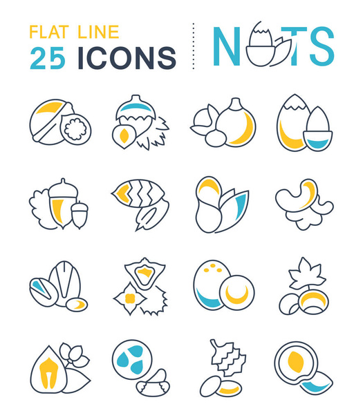 Set Vector Flat Line Icons of Nuts - Vector, Image