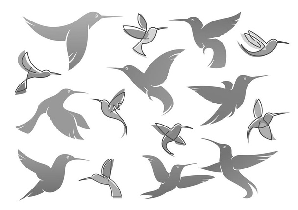 Ícones vetoriais de colibri beija-flor
 - Vetor, Imagem