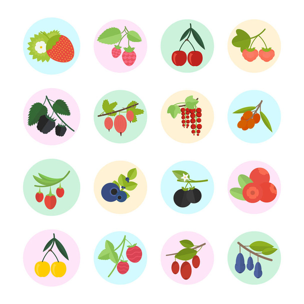 Set Vector Illustration of Berries - Vector, Image