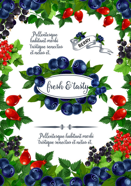 Vector poster of fresh berries and fruits - Vector, Image
