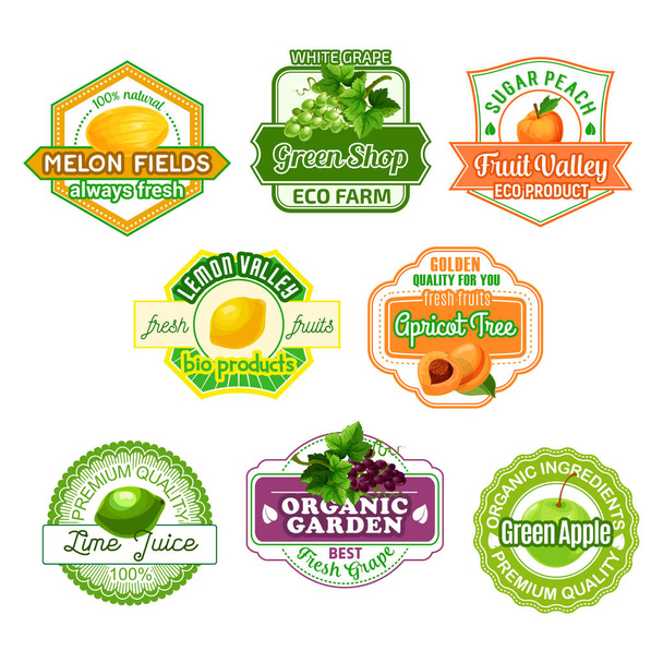 Vector icons for fruit juice or farm market - Vector, Image