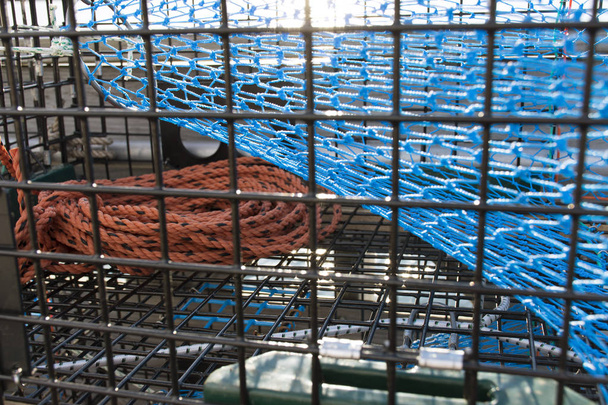 Омарів пастки крупним планом
 - Фото, зображення