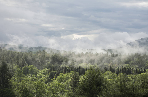 Mlha na zelené hory, Vermont - Fotografie, Obrázek