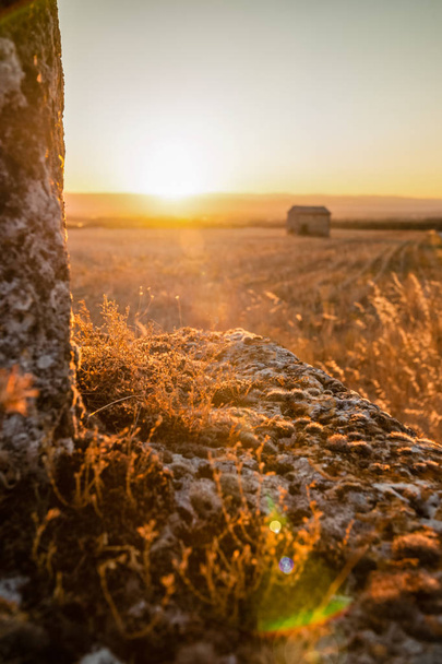 Puesta de sol en los campos del valle del Ródano
 - Foto, Imagen