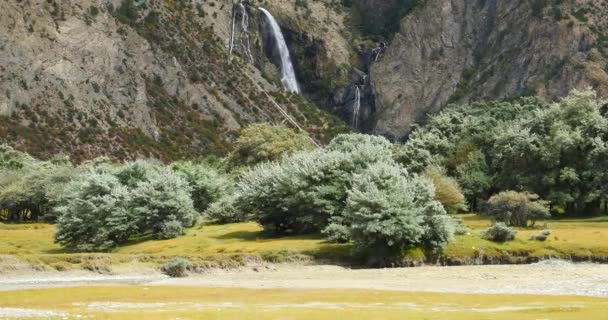 4 k καταρράκτη που ρέει στην κοιλάδα, Μπους για το φαγητό του βουνού στο Θιβέτ. - Πλάνα, βίντεο