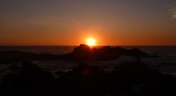 Пелікани на заході сонця
   - Фото, зображення