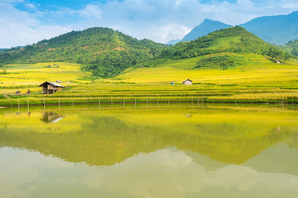 gyönyörű rizs szezon a Sa Pa, Lao Cao tartomány, Vietnam. - Fotó, kép