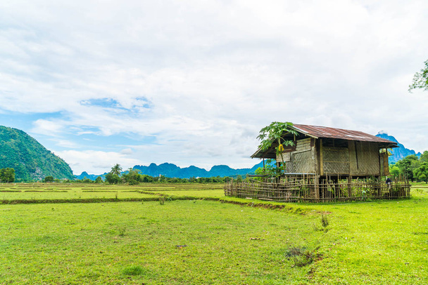  Old house in the fields at Vang Vieng - Foto, afbeelding