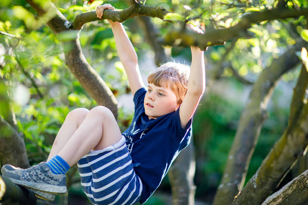 Niño rubio de 5 años trepando en el árbol en verano
. - Foto, Imagen