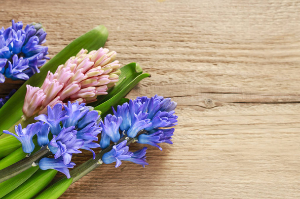 Hyacinth flowers on wooden background - Φωτογραφία, εικόνα