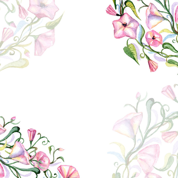 Watercolor floral composition. Fast isolation. Hand painted. Raster illustration. - Foto, imagen