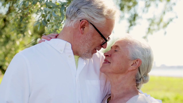 boldog idősebb pár hozzábújva a nyári park - Felvétel, videó