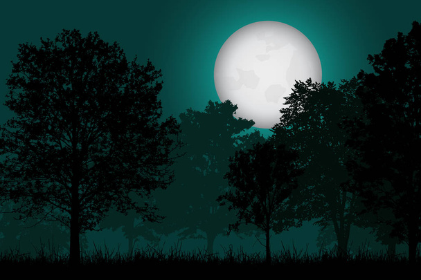 Vector realistic illustration of a deciduous forest with grass under a night sky with a full moonlit moon - Vector, Image