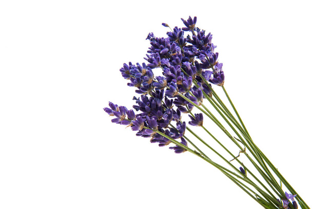 Boeket lavendel paars bloemen  - Foto, afbeelding