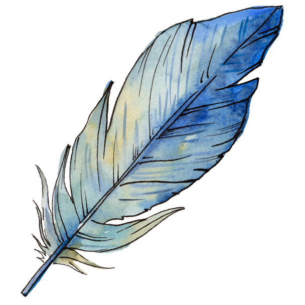 Watercolor bird feather from wing isolated. - Foto, Imagem