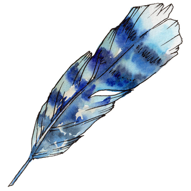 Akvarell madár toll szárny elszigetelt. - Fotó, kép