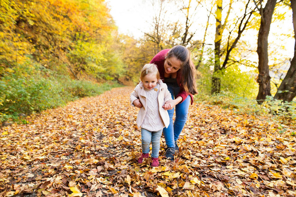 Matka a dcera na procházce v podzimním lese. - Fotografie, Obrázek