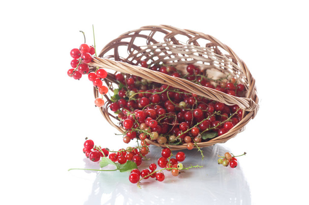 Ripe red currant in a basket - 写真・画像