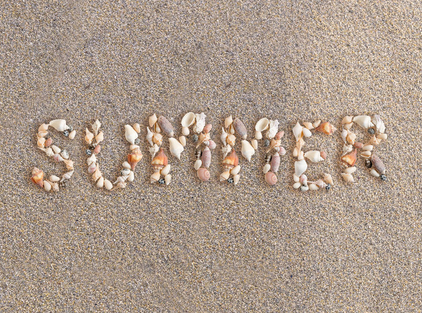 Palavra de verão feita por várias conchas do mar na praia backgro areia
 - Foto, Imagem