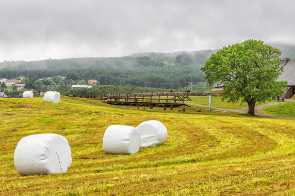 Hay rolled and packaged on a Green Mown grass field - Φωτογραφία, εικόνα