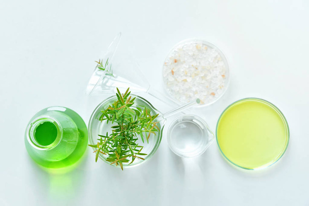 Natural organic botany and scientific glassware, Alternative herb medicine, Natural skin care cosmetic beauty products, Research and development concept. (Selective Focus) - Foto, Imagen