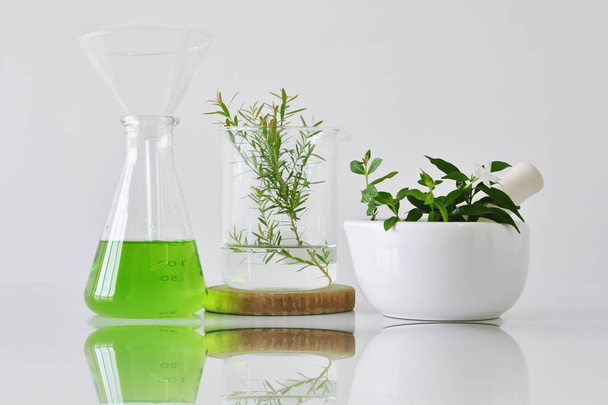 天然有機植物と実験用ガラス器具、代替ハーブ医学、自然のスキンケア化粧品の美容製品、研究開発のコンセプト。(選択と集中) - 写真・画像