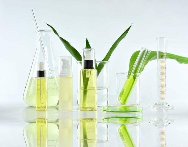 Kosmeettisia pulloja, joissa vihreät yrttilehdet ja tieteelliset lasitavarat, Blank label paketti brändin mallinnus, Tutkimus ja kehittää luonnon luonnonmukaista kauneutta ihonhoitotuotteet käsite. - Valokuva, kuva