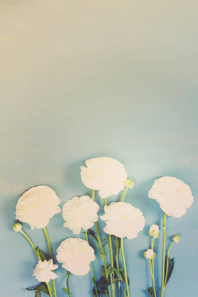 Flores blancas de Ranunculus
 - Foto, imagen
