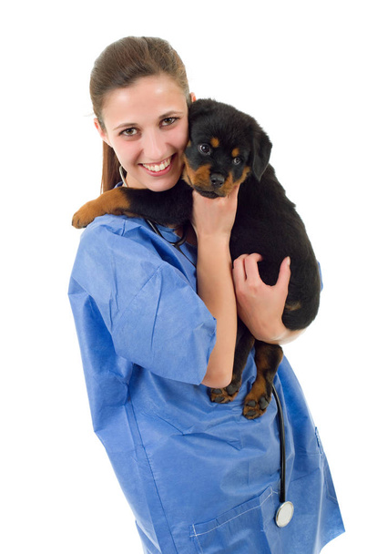 Brunette veterinary with a rottweiler puppy dog isolated - 写真・画像