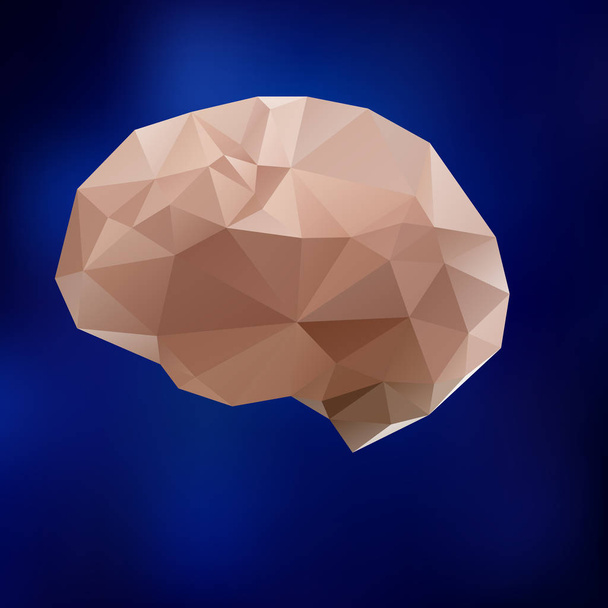 Illustration triangle cerveau humain. Cerveau triangulaire, modèle médical
 - Vecteur, image