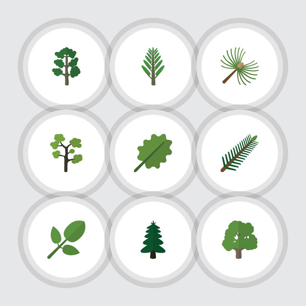 Flat Icon Nature Set Of Forest, Jungle, Alder And Other Vector Objects. Also Includes Evergreen, Tree, Leaf Elements. - Vektori, kuva