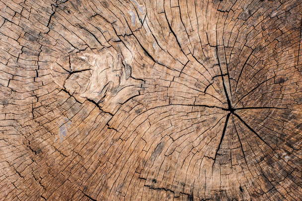 textura de madera vieja para el fondo - Foto, Imagen