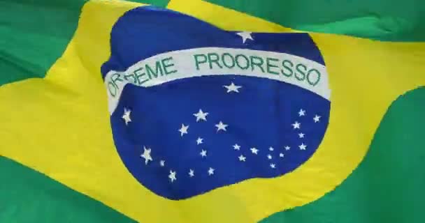 4k Brasilian lippu lepattaa tuulessa
. - Materiaali, video