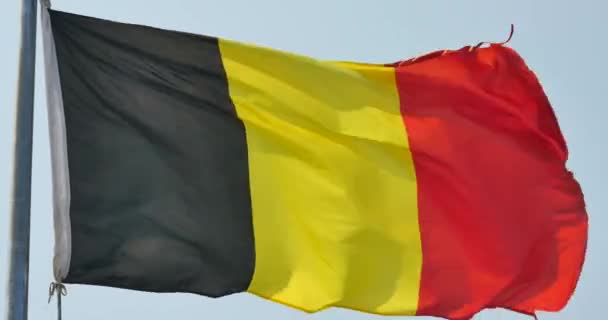 4 k Belçika bayrağı rüzgarda çırpınan. - Video, Çekim
