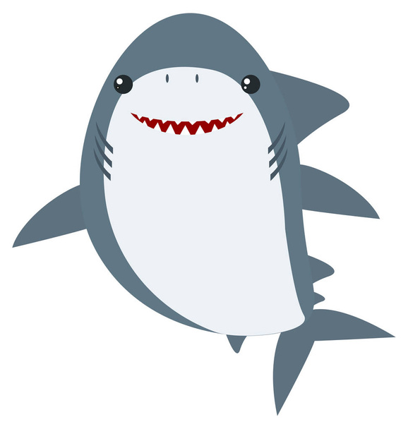 Grote witte haai op witte achtergrond - Vector, afbeelding