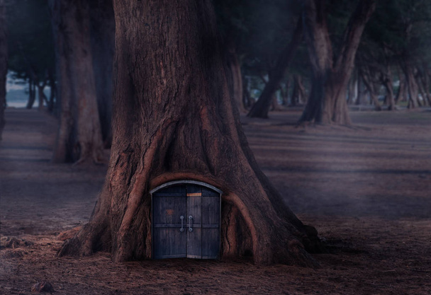 Дерев'яний будинок в казці з дерев'яними дверима
 - Фото, зображення