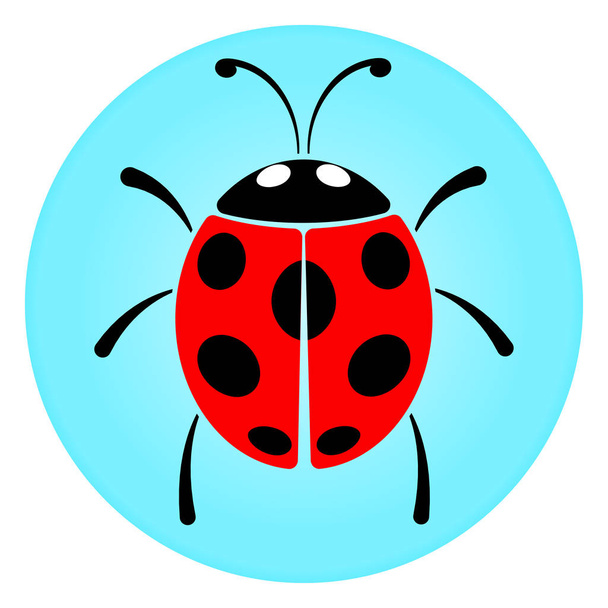 ladybug circle icon concept - Vector, Image