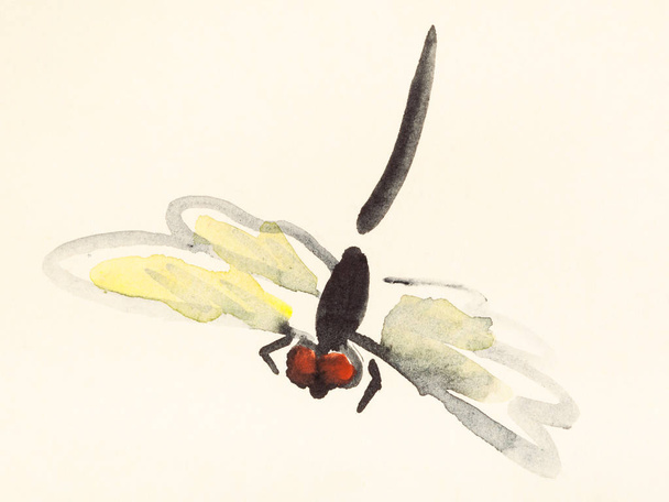 voo libélula mão pintada em papel colorido
 - Foto, Imagem