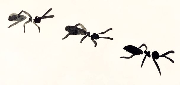 ligne de fourmis peintes à la main sur papier de couleur crème
 - Photo, image