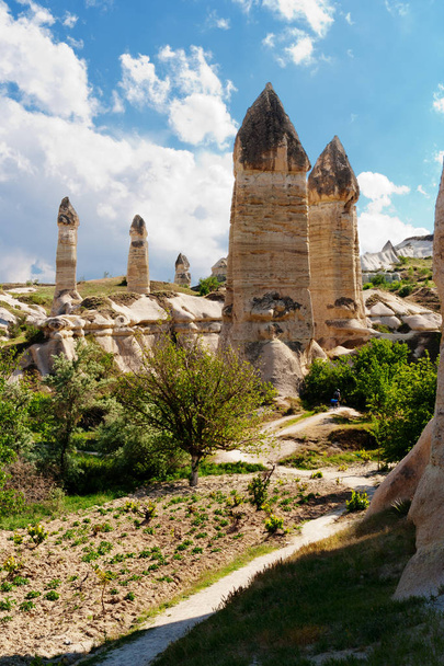 Rock formations in the Love valley near the Goreme. Cappadocia - Photo, Image