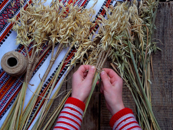 Fabricación de Didukh de espiguillas de avena - Navidad, gavilla simbólica y ceremonial de Ucrania, que simboliza la prosperidad en la casa y en la familia
. - Foto, imagen