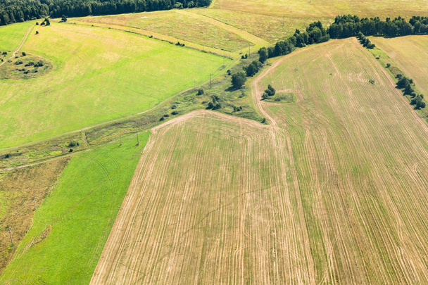 grüne Winter und gelbe abgeerntete Felder auf Hügeln - Foto, Bild