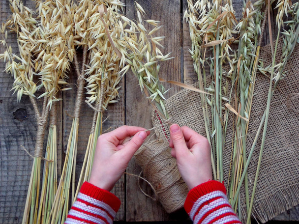 Making of Didukh of spikelets oats - Christmas, symbolic and ceremonial sheaf Ukrainian, symbolizing prosperity in the house and in the family. - Photo, Image