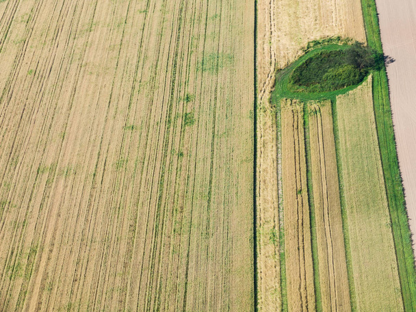 vue ci-dessus des champs récoltés verts et jaunes
 - Photo, image